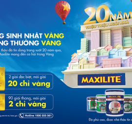 Sơn Dulux & Sơn Maxilite 20 Gắn Bó Với Thị Trường Việt Nam | Quảng Ngãi